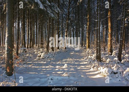 Schwarzwald im Winter, in der Nähe von Villingen Schwarzwald-Baar, Baden-Wurttemberg, Deutschland, Europa Stockfoto