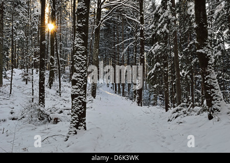 Ländliche Winter-Szene, in der Nähe von Villingen Schwarzwald-Baar, Baden-Wurttemberg, Deutschland, Europa Stockfoto