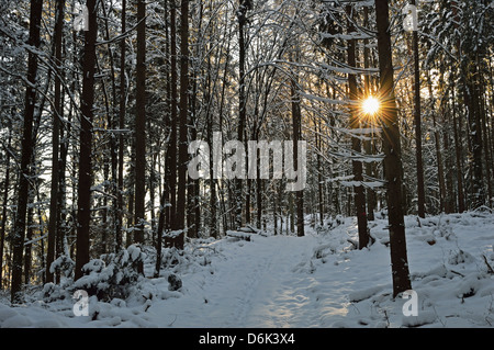 Ländliche Winter-Szene, in der Nähe von Villingen Schwarzwald-Baar, Baden-Wurttemberg, Deutschland, Europa Stockfoto