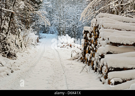 Schwarzwald im Winter, in der Nähe von Villingen Schwarzwald-Baar, Baden-Wurttemberg, Deutschland, Europa Stockfoto
