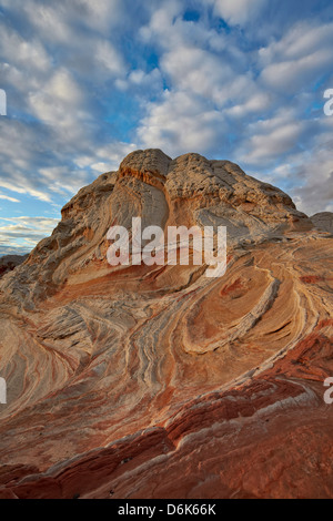 Sandstein Hügel mit swirly Schichten, White Pocket, Vermillion Cliffs National Monument, Arizona, USA