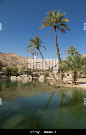 Wadi Bani Khalid, eine Oase in der Wüste, Oman, Naher Osten Stockfoto