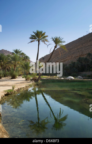 Wadi Bani Khalid, eine Oase in der Wüste, Oman, Naher Osten Stockfoto