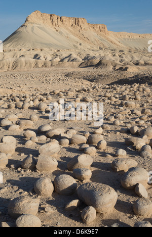 Bulbus Felsen Feld und Mount Zin. Zin Tal. Negev-Wüste. Israel. Stockfoto