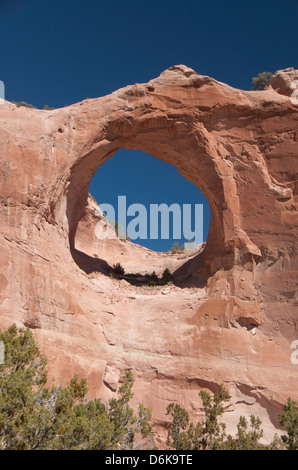 Fenster Rock Navajo Tribal Park, Arizona, Vereinigte Staaten von Amerika, Nordamerika Stockfoto