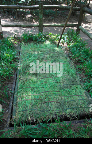 Sprengfalle, Cu Chi Tunnel, Ho-Chi-Minh-Stadt (Saigon), Vietnam, Indochina, Südostasien, Asien Stockfoto