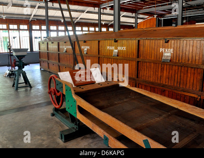 Ceylon-Tee-Museum, Kandy, Sri Lanka Stockfoto