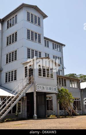 Ceylon-Tee-Museum, Kandy, Sri Lanka Stockfoto