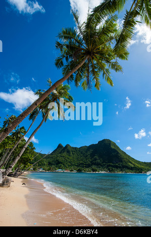 Nationalpark von Amerikanisch-Samoa, Tutuila Insel, Amerikanisch-Samoa ...