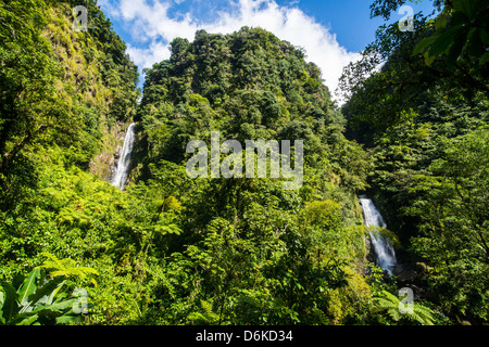 Trafalgar Wasserfälle, Morne Trois Pitons National Park, UNESCO World Heritage Site, Dominica, Karibik, Karibik, Mittelamerika Stockfoto