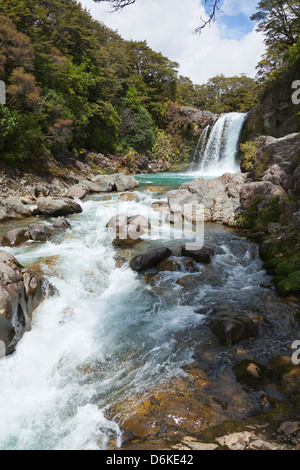 Taranaki Falls, Tongariro Nationalpark, Nordinsel, Neuseeland Stockfoto