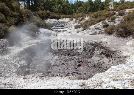 Die Devl Tinte Töpfe in Wai-O-Tapu Geothermal Reserve Rotorua, Neuseeland Stockfoto