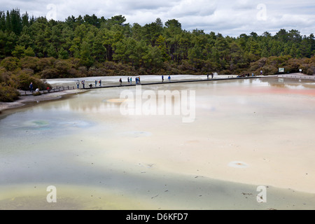 Überquerung der Terrasse an der Promenade in Wai-O-Tapu Geothermal Reserve Rotorua, Neuseeland Stockfoto