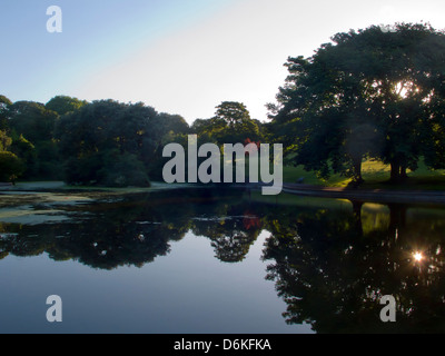 See im Park, am frühen Morgen, Queen es Park, Brighton, UK Stockfoto