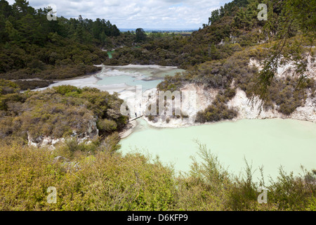 Wai-O-Tapu Geothermal Reserve Rotorua, Neuseeland Stockfoto