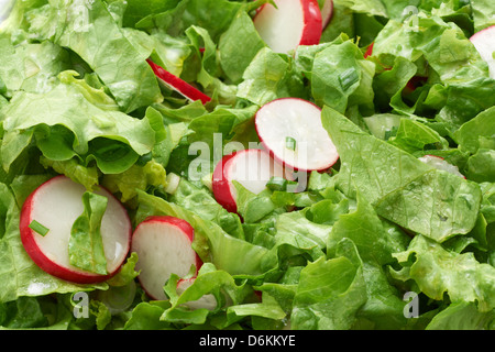 Grüner Salat und Radieschen Salat Nahaufnahme Stockfoto