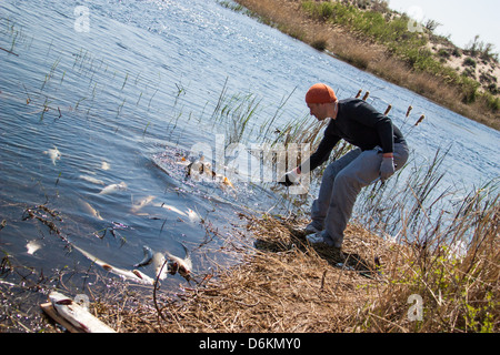 Glücklich glücklich Fischer hielt eine großen Karpfen am Fluss. Am frühen Morgen über die Fischerei Stockfoto