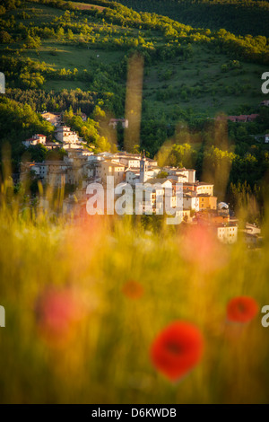 Blick durch ein Feld von Wildblumen der mittelalterlichen Stadt von Preci in den Monti Sibillini Nationalpark, Umbrien Italien Stockfoto