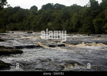 Aysgarth Falls niedriger Kraft Fluß Ure Aysgarth Wensleydale Yorkshire Dales England Stockfoto