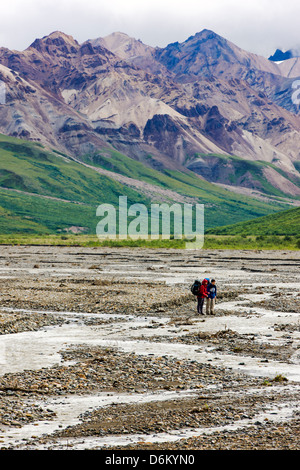 Zwei Backpacker sorgfältig Fjord Toklat River, Denali National Park, Alaska, USA Stockfoto