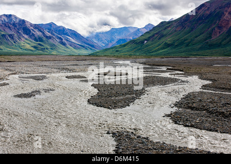 Geflochtene Toklat River, Denali National Park, Alaska, USA Stockfoto