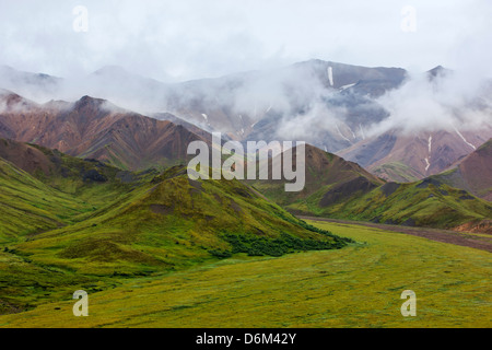 Neblige Neblige Sicht südlich der Alaska Range von Polychrome Pass, Denali National Park, Alaska, USA Stockfoto