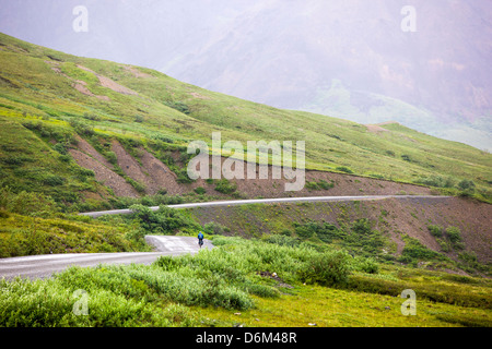 Radsportler, die begrenzte Zufahrt, Denali National Park, Alaska, USA Stockfoto