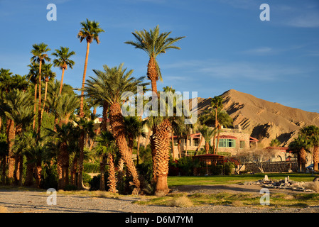 Palmen in der Nähe der historischen Furnace Creek Inn. Death Valley Nationalpark, Kalifornien, USA. Stockfoto