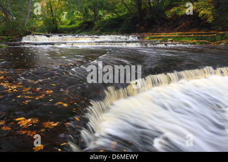 Joaveski Wasserfall in Nord-Estland, Lahemaa Nationalpark Stockfoto