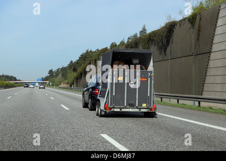 Hannover, Deutschland, mit Pferdeanhaenger Auto auf der A2 Stockfoto