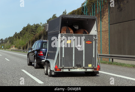 Hannover, Deutschland, mit Pferdeanhaenger Auto auf der A2 Stockfoto