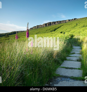 Steinplatten Weg zur Stanage Edge, The Peak District. Stockfoto