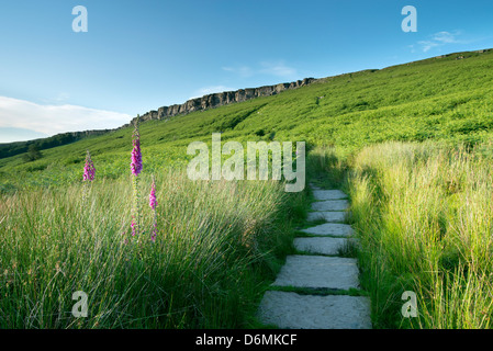 Steinplatten Weg zur Stanage Edge, The Peak District. Stockfoto