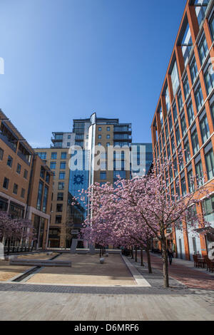 Birmingham, Vereinigtes Königreich. 20. April 2013. Die RBS Gebäude auf Oozells Platz, Brindley Place, Birmingham. Frühling Kirschblüte füllt sich der Platz. Bildnachweis: Chris Gibson/Alamy Live-Nachrichten Stockfoto