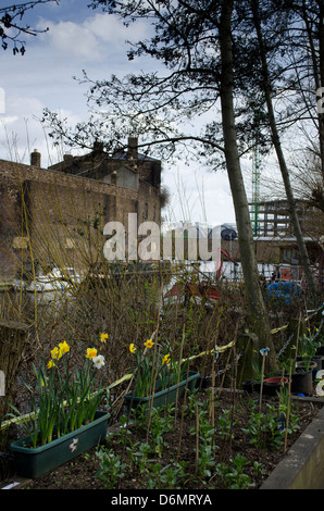 Naturpark Camley Street, London Stockfoto