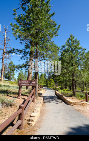 Trail am Sunrise Point im Bryce-Canyon-Nationalpark in Kalifornien Stockfoto