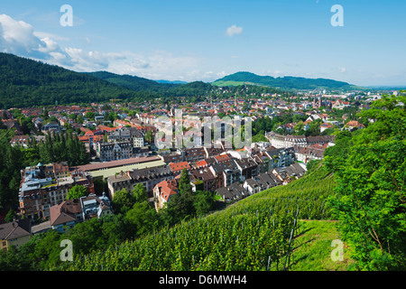 Weinberge, Freiburg, Baden-Württemberg, Deutschland, Europa Stockfoto