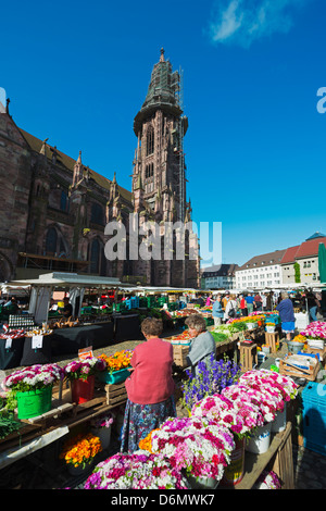 Samstag Markt, Freiburger Münster, Freiburg, Baden-Württemberg