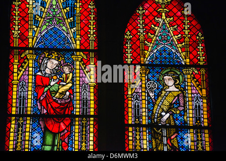 Freiburger Kathedrale, Freiburg, Baden-Württemberg, Deutschland, Europa Stockfoto