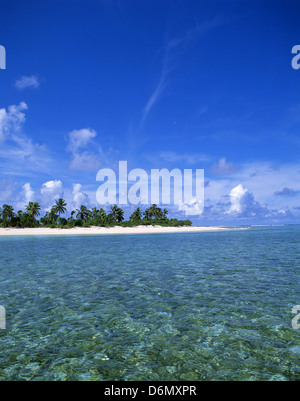 Tropical Island, Aitutaki Atoll, Cook-Inseln, Süd-Pazifik Stockfoto