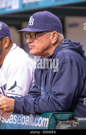 St. Petersburg, Florida, USA. 20. April 2013: Tampa Bay Rays Manager Joe Maddon (70) während der Major League Baseball Spiel Action zwischen den Oakland Athletics und die Tampa Bay Rays. Tampa Bay besiegten Oakland 1-0 im Tropicana Field in St. Petersburg, FL. Stockfoto