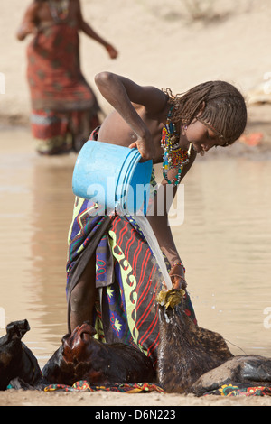 Semera, Äthiopien, Nomaden Wasserholen an einer Wasserstelle Stockfoto