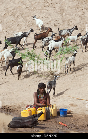 Semera, Äthiopien, Nomaden Wasserholen an einer Wasserstelle Stockfoto