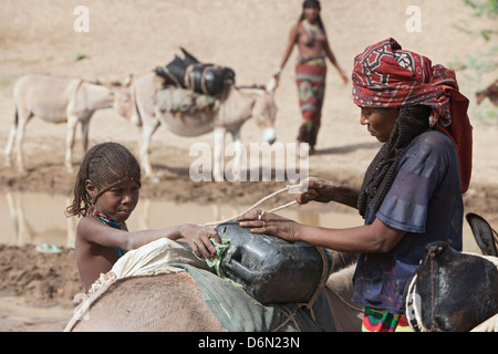 Semera, Äthiopien, Nomaden Wasserholen an einer Wasserstelle Stockfoto