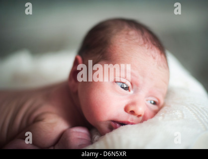 Das kleine Kind mit einem vernünftigen Anblick Stockfoto