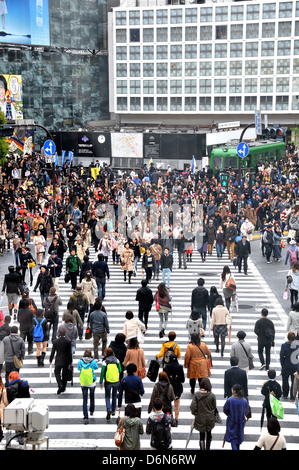 Fußgänger überqueren Straße Hachiko Shibuya Tokio Stockfoto