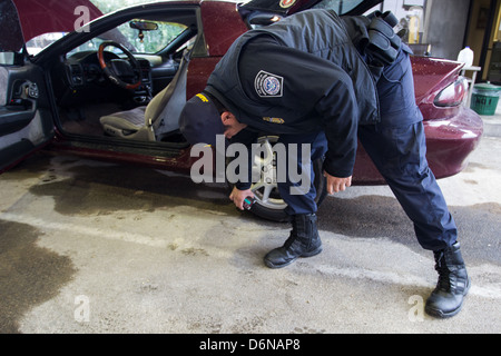 Ein US Customs and Border Protection Officer eine Schmuggelware Detektionsgerät, bekannt als ein Buster verwendet, um ein Fahrzeug am Grenzübergang San Luis zu inspizieren 16. Februar 2012 in San Luis, AZ. Stockfoto