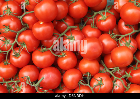 Handewitt, Deutschland, Tomaten in einer Anzeige Stockfoto