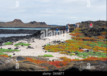 Touristen auf einer Wanderung, Isla Santa Cruz, Galapagos-Inseln, Unesco Website, Ecuador, Südamerika Stockfoto