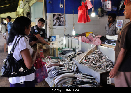 Fisch-Stall im Zentralmarkt Kandy, Sri Lanka Stockfoto